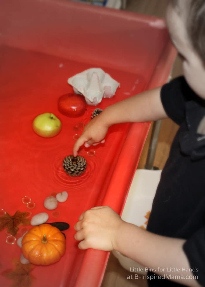 Experimenting-with-Fall-Objects-in-Water-for-a-Preschool-Science-Activity-at-B-Inspired-Mama